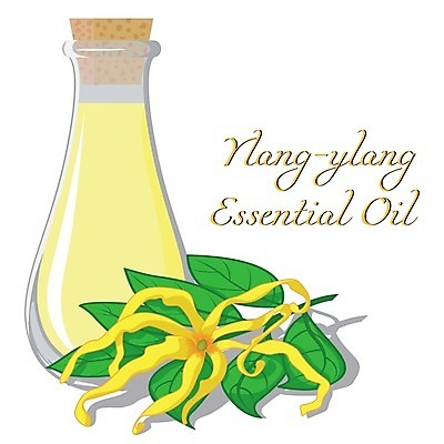 EPS 해외이미지 식물 라이프스타일 꽃 꽃다발 잎 일러스트 유리 유리병 초록색 스파 화장품 벚꽃 신선 마사지 맛 허브 가득함 향수 플라스크 흰배경 향기 아로마 아로마테라피 테라피 악취 내추럴 고립 돌봄 치유 해외202004 해외일러스트 컬러 백그라운드 컨셉 모션 재질 병_용기 실험기구 생활 뷰티 흰색 냄새 파일형식 벡터 이미지허브