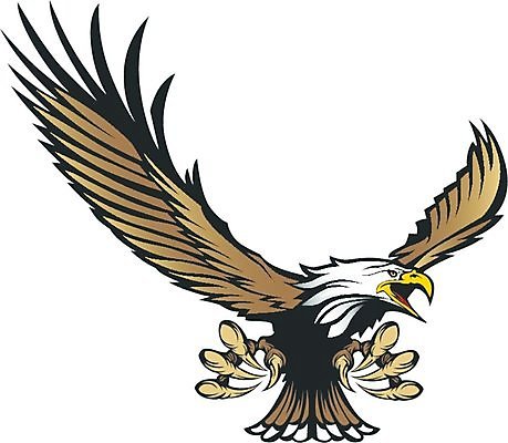 EPS 해외이미지 동물 얼굴 스포츠 날개 일러스트 조류 고등학교 머리 잡기 공격 심볼 깃털 부리 독수리 마스코트 발톱 집게발 해외202004 해외일러스트 학교 모션 발 신체부위 파일형식 벡터 이미지허브