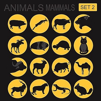 EPS 해외이미지 동물 디자인 실루엣 야생동물 일러스트 포유류 자연 사슴 코끼리 동물원 그래픽 반려동물 세트 농장 고양이 양 소 개 쥐 숲 사자 만화 들소 수집 심볼 사파리 사인 황소 영양 육식동물 캥거루 표범 고립 동물상 순록 여우원숭이 해외202004 해외일러스트 농업 촬영기법 조형물 원숭이 설치류 생태계 파일형식 벡터 이미지허브