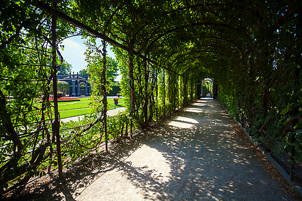 포토 JPG 해외이미지 나무 식물 계절 공원 길 여행 잎 건축양식 자연 사랑 풍경 사람없음 초록색 여름 정원 침묵 산책 나뭇가지 복도 터널 아치 내추럴 방법 해외202004 해외포토 공공시설 건축 감정 컬러 휴식 소리 생태계 파일형식 이미지허브
