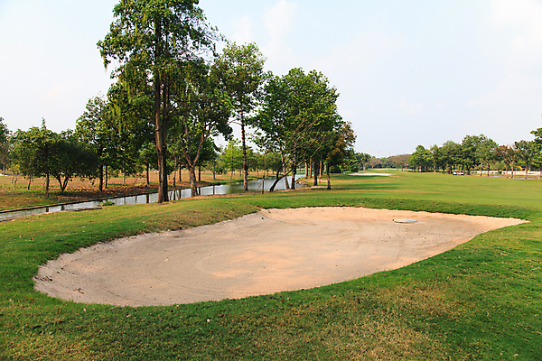 포토 JPG 해외이미지 나무 라이프스타일 스포츠 밭 골프 자연 놀이 하늘 휴가 풍경 잔디 사람없음 야외 초록색 여름 파란색 태양 경쟁 게임 깃발 구멍 강의 은퇴 클럽 내추럴 골프티 플레이어 해외202004 해외포토 자연요소 식물 계절 컬러 컨셉 농업 골프용품 생활 구기 생태계 파일형식 이미지허브