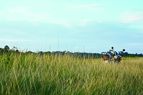 포토 JPG 해외이미지 라이프스타일 도로 스포츠 여행 태국 자연 하늘 휴가 산 풍경 사람없음 야외 빨간색 파란색 자전거 기쁨 운전 사막 자유 오토바이 시간 고속도로 산등성이 애리조나 루트 해외202004 해외포토 감정 아시아 길 컬러 컨셉 교통시설 모션 생활 바이크 미국 생태계 파일형식 이미지허브
