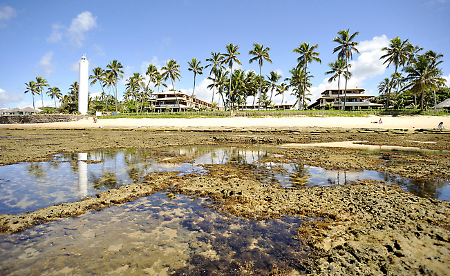 포토 JPG 해외이미지 나무 구름 모래 파도 바다 섬 여행 자연 하늘 리조트 휴가 휴식 풍경 사람없음 물 여름 파란색 관광지 야자수 태양 만 뜨거움 브라질 석호 설정 이국적 터키석 해외202004 해외포토 자연요소 식물 계절 컬러 컨셉 남아메리카 보석 생태계 파일형식 이미지허브