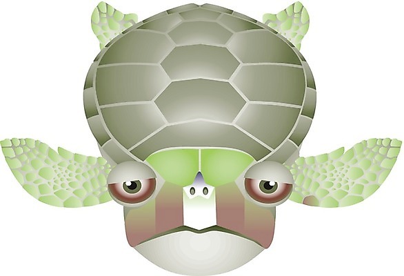 EPS 해외이미지 동물 캐릭터 손 행복 야생동물 어린이 백그라운드 일러스트 파충류 자연 생물 동물원 서기 미소 초록색 세계 숫자 환경 방 껍질 흰색 거북이 만화 심볼 사인 생물학 만들기 코믹 느림 고립 등딱지 마스코트 해외202004 해외일러스트 일러캐릭터 문자 교육 감정 컬러 모션 표정 사람 신체부위 생태계 파일형식 벡터 이미지허브