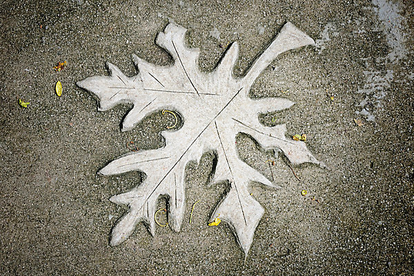 포토 JPG 해외이미지 디자인 외관 벽 백그라운드 단풍 잎 패턴 건축양식 벽돌 바닥 주택 미술 사람없음 건물 장식 가을 흰색 도시 타일 묘사 사인 질감 정사각형 심플 예술가 수공예 그런지 옛날 콘크리트 해외202004 해외포토 도형 식물 건축물 계절 건축 컬러 무늬 문화예술 공예 파일형식 이미지허브