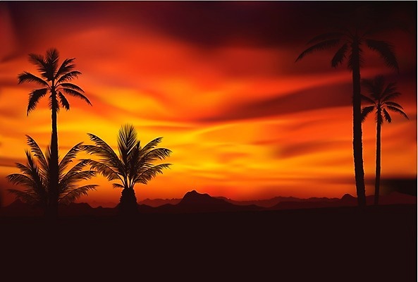 EPS 해외이미지 실루엣 여행 백그라운드 일러스트 자연 휴가 열대 손바닥 풍경 일출 일몰 장면 이국적 해외202004 해외일러스트 손 촬영기법 노을 생태계 파일형식 벡터 이미지허브