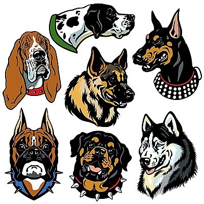 EPS 해외이미지 동물 일러스트 경비 반려동물 세트 머리 양치기 개 수집 클럽 흰배경 보안 사냥 불독 수의사 송곳니 고립 유래 충고 해외202004 해외일러스트 직업 백그라운드 포유류 안전 신체부위 의사 흰색 치아 보호 파일형식 벡터 이미지허브