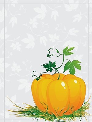 EPS 해외이미지 식물 디자인 계절 음식 줄기 백그라운드 단풍 잎 꽃무늬 채소 오렌지 과일 일러스트 자연 호박 건강 초록색 농작물 식사 수확 가을 흰색 나뭇가지 신용카드 버드나무 오브젝트 그림 박 추수감사절 내추럴 고립 숙성 식용 채식주의자 해외202004 해외일러스트 나무 꽃 기독교 컬러 무늬 농업 금융 생태계 채식 파일형식 벡터 이미지허브