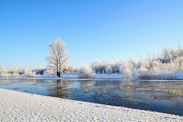 포토 JPG 해외이미지 나무 꽃 여행 잎 겨울 농업 자연 조류 하늘 날씨 주택 풍경 사람없음 야외 물 강 노란색 일출 냉동 얼음 침묵 봄 안개 나뭇가지 시골 쌍 개울 황무지 숲 땅 허브 시작 서리 각도 지역 솜털 제설기 해외202004 해외포토 자연요소 식물 동물 계절 산업 컬러 건물 노을 소리 생태계 제설 파일형식 이미지허브