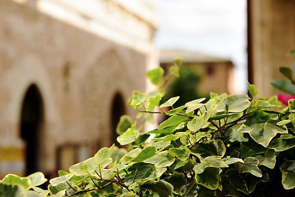 포토 JPG 해외이미지 외관 벽 건축양식 거리 주택 사람없음 야외 건물 목재 여행객 문 마을 이탈리아 궁전 조약돌 도시 중세 아치 대문 좁은 벽돌담 타운 옛날 정문 해외202004 해외포토 나무 건축물 건축 유럽 고건축 재료 벽돌 사람 담장 돌_바위 역사 파일형식 이미지허브