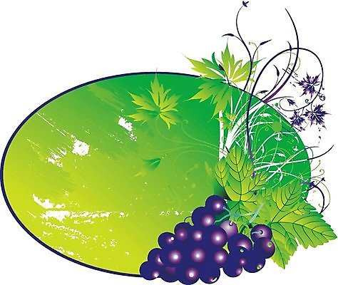 EPS 해외이미지 식물 디자인 계절 꽃 실루엣 음식 백그라운드 잎 꽃무늬 패턴 곡선 과일 일러스트 자연 포도 프레임 건강 미술 그래픽 장식 여름 농작물 와인 가을 흰색 나뭇가지 화려 우아함 두루마리 심볼 클립 포도밭 포도나무 양조장 채식주의자 해외202004 해외일러스트 나무 선 컬러 컨셉 무늬 밭 농업 문화예술 주류 촬영기법 과일나무 생태계 채식 파일형식 벡터 이미지허브