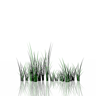 포토 JPG 해외이미지 식물 백그라운드 잎 꽃무늬 밭 자연 벽지 추상 건강 잔디 사람없음 야외 장식 초록색 3D 환경 정원 침묵 봄 활발 성장 흰색 신선 투명 칼날 닫기 이슬 유기농 윤곽 지역 고립 해외202004 해외포토 웰빙 계절 꽃 컬러 컨셉 무늬 농업 모션 소리 디지털합성 생태계 파일형식 이미지허브