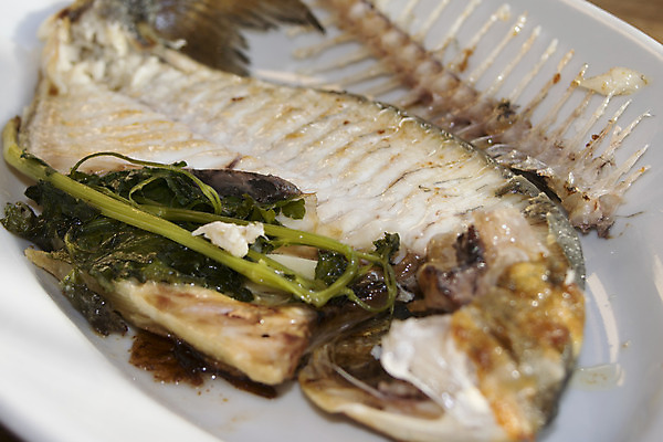 포토 JPG 해외이미지 접시 음식 바다 백그라운드 다이어트 파슬리 건강 어류 요리 사람없음 와인 식사 저녁식사 샐러드 튀김 흰색 신선 그릴 레몬 해산물 도미 점심식사 베이스 해외202004 해외포토 식기 컬러 채소 과일 주방용품 현악기 주류 수중동물 파일형식 이미지허브