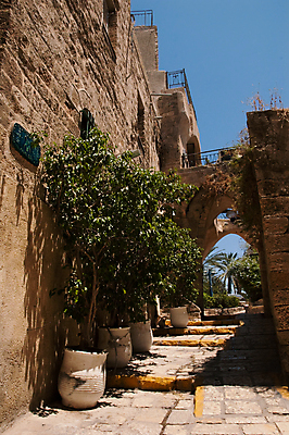 포토 JPG 해외이미지 나무 식물 화분 도로 벽 여행 잎 포장 사다리 자연 휴가 휴식 거리 사람없음 환경 침묵 산책 도시 점토 단계 해외202004 해외포토 길 컨셉 교통시설 소리 도구 생태계 파일형식 이미지허브