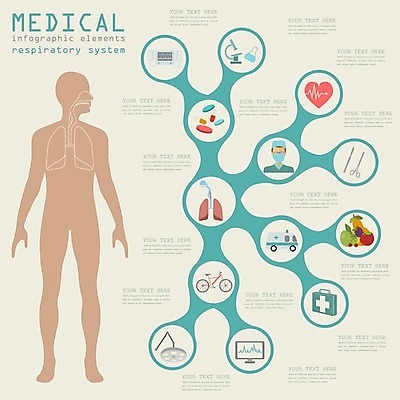 EPS 해외이미지 템플릿 디자인 과학 컨셉 신체 일러스트 해부 그래프 골격 건강 병원 주사기 사람 내부 그래픽 세트 알약 약 머리 인포그래픽 의사 정보 하트 오르간 신장 허파 호흡기관 구급차 심볼 사인 생물학 간 시스템 암 돌봄 엘리먼트 해외202004 해외일러스트 모양 교육 의학 의료기기 모션 자동차 신체부위 의료진 장기_의학 건반악기 비뇨기관 질병 파일형식 벡터 이미지허브