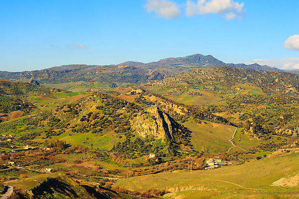 포토 JPG 해외이미지 나무 식물 밭 산 사람없음 초록색 계곡 흙 이탈리아 시골 숲 언덕 생물학 해외202004 해외포토 교육 유럽 컬러 농업 파일형식 이미지허브