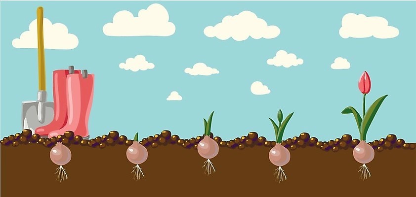 EPS 해외이미지 식물 디자인 배너 계절 꽃잎 꽃 실루엣 분홍색 꽃다발 결혼 백그라운드 잎 꽃무늬 패턴 일러스트 자연 추상 프레임 사랑 미술 장식 빨간색 초록색 여름 컬러풀 노란색 봄 튤립 벚꽃 흰색 신용카드 생일 화려 만화 흰배경 복고 내추럴 고립 엘리먼트 해외202004 해외일러스트 기념일 감정 컬러 컨셉 무늬 문화예술 촬영기법 이벤트 금융 생태계 파일형식 벡터 이미지허브