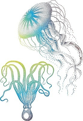 EPS 해외이미지 모양 동물 실루엣 야생동물 바다 일러스트 자연 연체동물 항해 어류 빨간색 초록색 물 파란색 바닷속 수중 수영 그림 문어 수족관 젤리 촉수 해파리 고립 디테일 해외202004 해외일러스트 자연요소 컬러 디저트 무척추동물 촬영기법 수중동물 수상스포츠 배 자포동물 생태계 선박 파일형식 벡터 음식 스포츠 수상교통 교통수단 교통 이미지허브