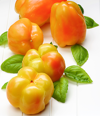 포토 JPG 해외이미지 음식 채소 재료 파프리카 사람없음 초록색 빛 컬러풀 노란색 신선 그룹 변화 흰배경 상쾌 날것 후추 바질 건강식 숙성 채식주의자 해외202004 해외포토 감정 컬러 백그라운드 컨셉 흰색 향신료 채식 파일형식 이미지허브