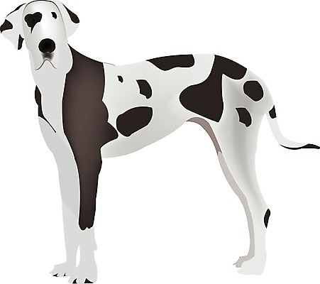 EPS 해외이미지 동물 한마리 야생동물 일러스트 포유류 흑백 반려동물 검은색 가축 힘 흰색 개 큼 송곳니 기르기 복종 유래 순종 해외202004 해외일러스트 1 컬러 촬영기법 치아 크기 왕 돌봄 파일형식 벡터 이미지허브