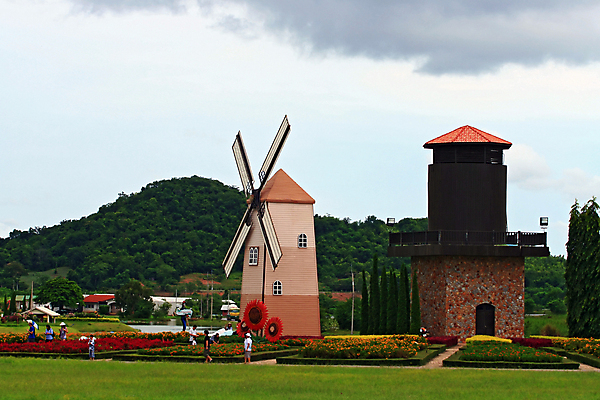 포토 JPG 해외이미지 전통 꽃 산업 밭 농업 파타야 태국 풍경 사람없음 야외 가로 농장 농경지 정원 풍차 시골 역사 포도밭 방앗간 옛날 해외202004 해외포토 식물 아시아 파일형식 이미지허브