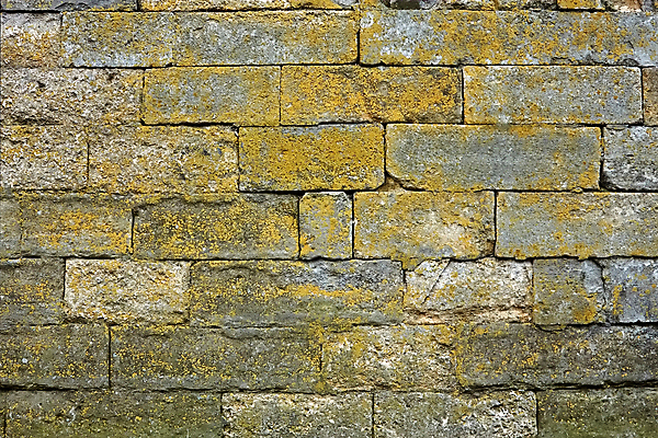 포토 JPG 해외이미지 외관 벽 백그라운드 건축양식 자연 날씨 추상 돌담 이끼 사람없음 야외 건물 가로 초록색 울타리 갈색 노란색 줄무늬 블록 경계선 얼룩 거친 그룹 중세 큼 버리기 과거 사암 강화 고체 구식 그런지 옛날 노화 효과 해외202004 해외포토 건축물 건축 선 컬러 컨셉 무늬 모션 담장 돌_바위 역사 크기 경계 생태계 파일형식 이미지허브