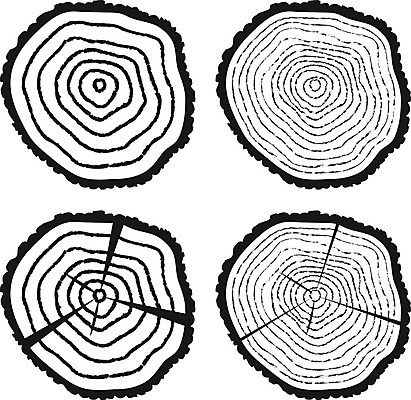 EPS 해외이미지 클립아트 나무 산업 선 조각 백그라운드 패턴 일러스트 부분 자연 건조 목재 검은색 흰색 반지 시간 소나무 원형 거친 역사 균열 폐기물 정상 숲 장작 자르기 오브젝트 질감 통나무 나무껍질 잡동사니 다리찢기 내추럴 고립 방법 수목 옛날 노화 해외202004 해외일러스트 도형 식물 컬러 컨셉 무늬 재료 장신구 모션 껍질 쓰레기 생태계 파일형식 벡터 이미지허브