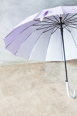 포토 JPG 해외이미지 계절 벽 백그라운드 컨셉 우산 비즈니스 날씨 바닥 건조 손잡이 안전 사람없음 보라색 검은색 봄 가을 오픈 보호 은색 위험 제비꽃 오브젝트 싱글 복고 보안 시멘트 청동 해결 자외선 헬프 차단 해외202004 해외포토 꽃 컬러 도움 파일형식 이미지허브