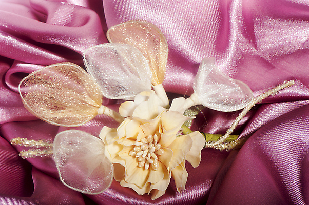 포토 JPG 해외이미지 여자 꽃 행복 리본 분홍색 결혼 백그라운드 꽃무늬 엄마 휴가 발렌타인데이 선물 사랑 사람없음 장식 빨간색 상자 봄 수확 흰색 하트 축하 신선 신용카드 생일 어머니의날 해외202004 해외포토 모양 식물 계절 기념일 감정 컬러 컨셉 무늬 농업 가족 데이이벤트 사람 이벤트 금융 미국문화 파일형식 이미지허브