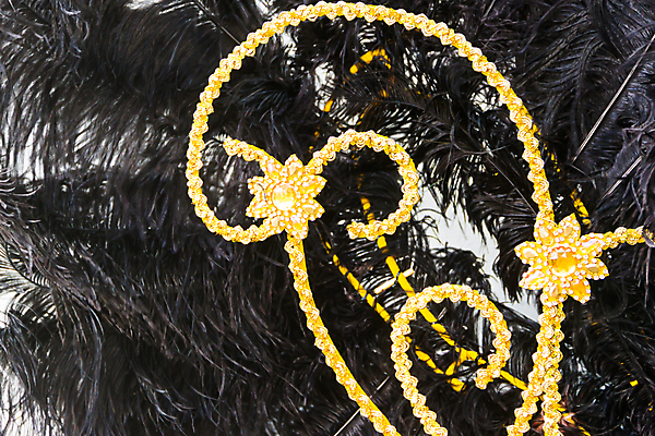 포토 JPG 해외이미지 백그라운드 오렌지 휴가 미술 사람없음 파란색 컬러풀 검은색 축제 흰색 축하 황금 제비꽃 깃털 묘사 자수 브라질 고립 삼바 해외202004 해외포토 꽃 컬러 컨셉 과일 문화예술 남아메리카 파일형식 이미지허브