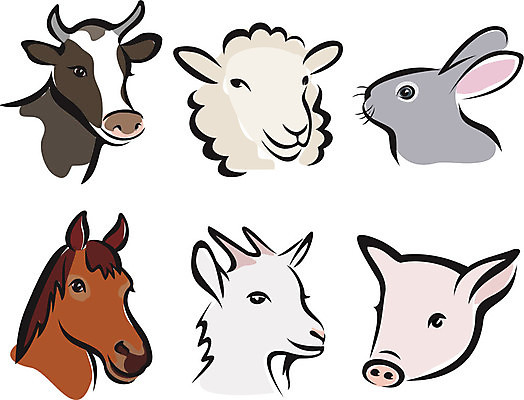 EPS 해외이미지 클립아트 동물 디자인 행복 얼굴 선 농업 일러스트 비즈니스 염소 흑백 동물원 육류 세트 농장 머리 검은색 만남 토끼 양 돼지 소 농부 수집 심볼 사인 심플 윤곽 고립 밭일 스타일 해외202004 해외일러스트 직업 감정 산업 컬러 컨셉 식재료 포유류 촬영기법 신체부위 반려동물 파일형식 벡터 이미지허브