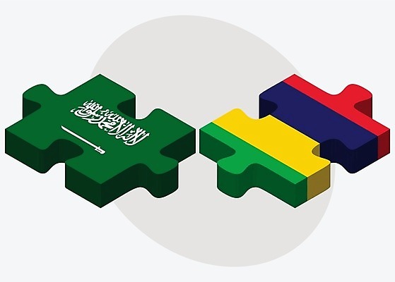 EPS 해외이미지 조각 컨셉 일러스트 비즈니스 관계 아프리카 협력 함께함 사람 그래픽 3D 깃발 퍼즐 연결 결합 접속 오브젝트 흰배경 아라비아 나눔 해결 사우디아라비아 고립 공화국 모리셔스 아랍어 왕국 전국 정부 정치 통일 해외202004 해외일러스트 나라 중동 흰색 디지털합성 파일형식 벡터 컬러 이미지허브
