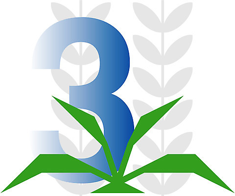 EPS 클립아트 식물 문자 기호 교육 화분 잎 일러스트 글꼴 교과목 3 사람없음 픽토그램 숫자 아라비아숫자 아라비아 수학교육 국내일러스트 수학 파일형식 벡터