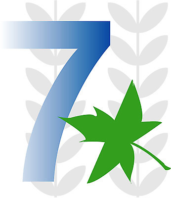 EPS 클립아트 문자 기호 교육 낙엽 잎 일러스트 글꼴 교과목 나뭇잎 사람없음 픽토그램 숫자 칠 아라비아숫자 아라비아 수학교육 7 국내일러스트 식물 수학 파일형식 벡터