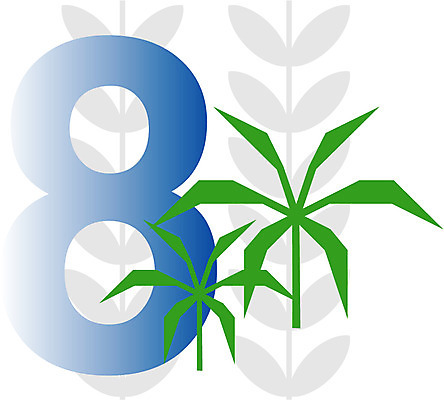 EPS 클립아트 나무 식물 문자 기호 교육 일러스트 글꼴 교과목 사람없음 픽토그램 야자수 숫자 8 아라비아숫자 아라비아 수학교육 팔 국내일러스트 신체부위 수학 파일형식 벡터