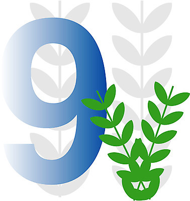 EPS 클립아트 식물 문자 기호 교육 화분 잎 일러스트 글꼴 교과목 나뭇잎 사람없음 픽토그램 숫자 구 9 아라비아숫자 아라비아 수학교육 국내일러스트 수학 파일형식 벡터