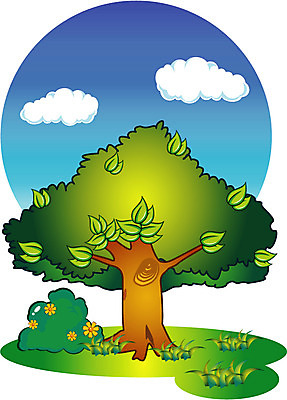 EPS 주간 클립아트 나무 식물 구름 잎 일러스트 자연 하늘 한그루 풍경 사람없음 야외 초록색 풀 풀잎 느티나무 국내일러스트 자연요소 1 컬러 풀_식물 생태계 파일형식 벡터