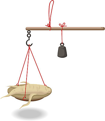 EPS 클립아트 일러스트 의학 저울 사람없음 치료 약 한의학 한약재 의료용품 산삼 인삼 한약 오브젝트 자루 추 국내일러스트 의료기기 약재 삼 파일형식 벡터