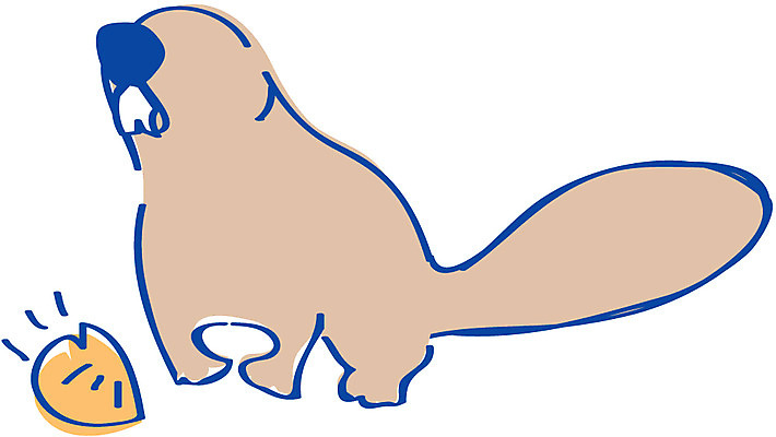 EPS 클립아트 동물 척추동물 육지동물 야생동물 일러스트 포유류 사람없음 사자 비버 국내일러스트 파일형식 벡터