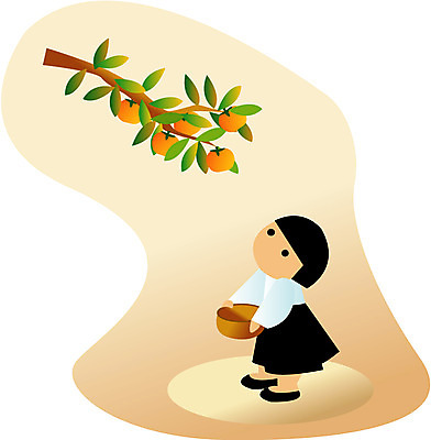 EPS 클립아트 여자 초등학생 어린이 일러스트 감 한명 사람 소녀 한복 감나무 감따기 여자만 여자한명만 어린이만 소녀만 소녀한명만 국내일러스트 나무 1 학생 한국전통 과일 모션 전통의상 파일형식 벡터