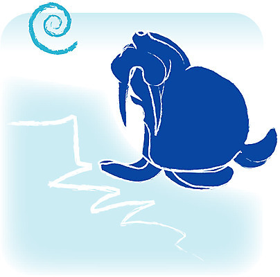 EPS 클립아트 동물 척추동물 육지동물 야생동물 일러스트 포유류 사람없음 바다동물 사자 바다표범 바다사자 국내일러스트 바다 수중동물 파일형식 벡터