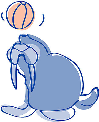 EPS 클립아트 동물 척추동물 육지동물 야생동물 일러스트 포유류 사람없음 바다동물 사자 바다표범 바다사자 국내일러스트 바다 수중동물 파일형식 벡터