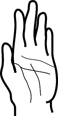 EPS 클립아트 손 신체 일러스트 손가락 사람 신체부위 손금 국내일러스트 파일형식 벡터