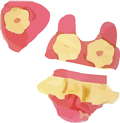 EPS 옷 수영복 여행 일러스트 레저용품 레저 사람없음 여름휴가 바캉스 오브젝트 여행용품 수영모 어린이용 국내일러스트 휴가 수영용품 파일형식 벡터 여름_계절