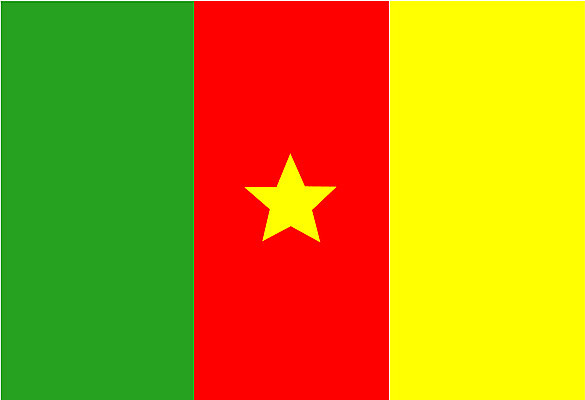 EPS 클립아트 외국문화 일러스트 아프리카 깃발 국기 카메룬 국내일러스트 나라 문화 파일형식 벡터