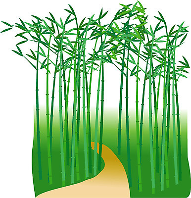 EPS 클립아트 나무 식물 웰빙 길 일러스트 자연 풍경 사람없음 야외 물 숲 샘물 대나무 국내일러스트 자연요소 생태계 파일형식 벡터