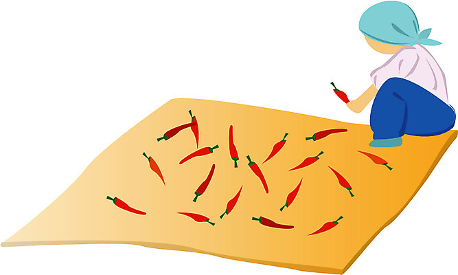 EPS 클립아트 여자 할머니 일러스트 고추 한명 사람 20대 성인 사람없음 시골 추분 멍석 여자만 여자한명만 성인여자만 성인만 국내일러스트 1 노년 채소 청년 절기 파일형식 벡터