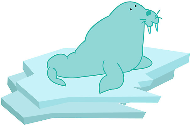 EPS 클립아트 동물 척추동물 육지동물 야생동물 일러스트 포유류 사람없음 바다동물 사자 바다표범 바다사자 국내일러스트 바다 수중동물 파일형식 벡터