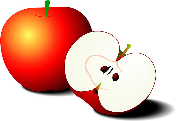 EPS 식물 열매 컬러 과일 일러스트 사람없음 빨간색 농작물 사과 반쪽사과 국내일러스트 농업 파일형식 벡터