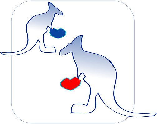 EPS 클립아트 동물 척추동물 육지동물 동물캐릭터 일러스트 포유류 사람없음 권투 캥거루캐릭터 일러캐릭터 캐릭터 격투기 캥거루 파일형식 벡터